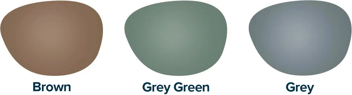 variation of glasses lens types, brown, green and grey
