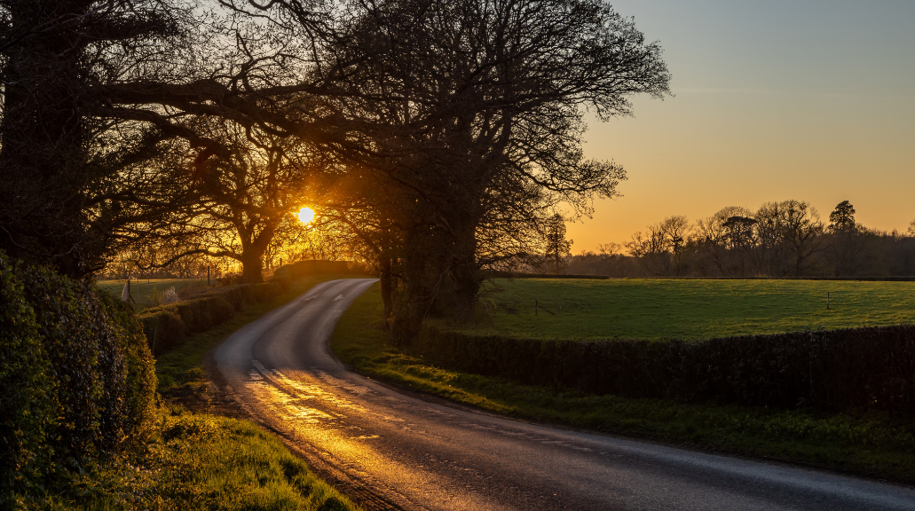 Low winter sun shining through trees onto road